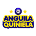 Anguila Noche